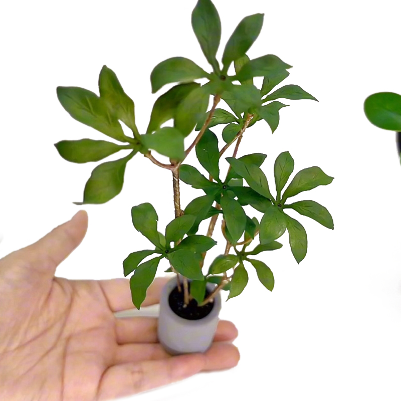 Bonsai Garden Miniature - 1:6 Dollhouse Miniature Potted Plants Model