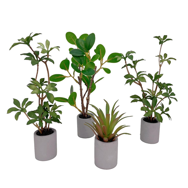 1:6 Dollhouse Miniature Potted - огляд і ціна Bonsai Garden Miniature