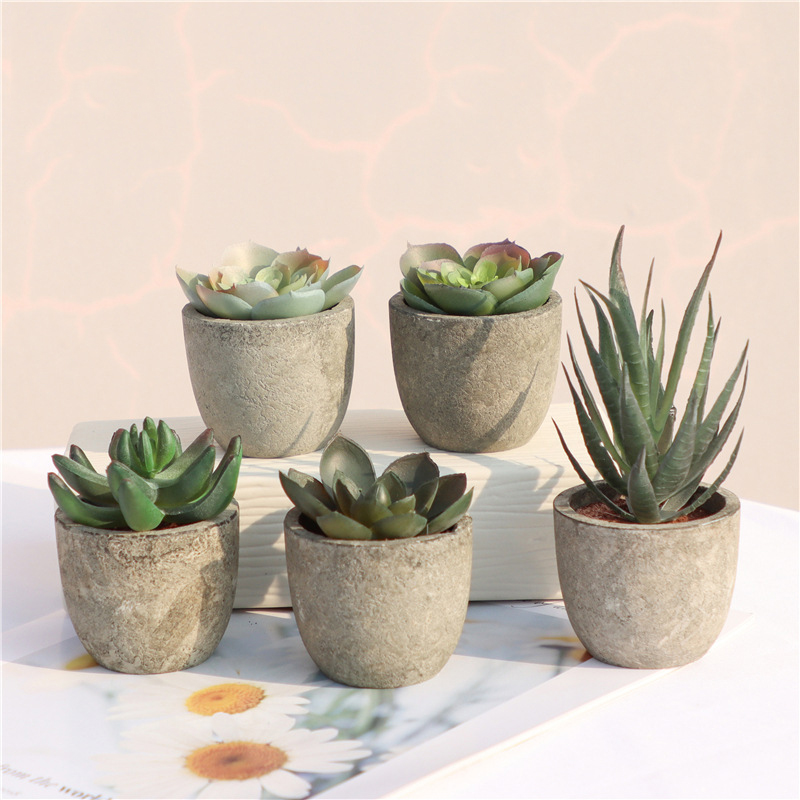 Mini Artificial Aloe Plants Bo - огляд і ціна Bonsai Garden Sushi