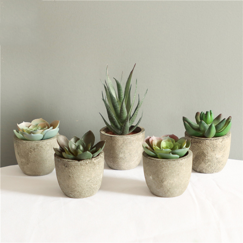 Mini Artificial Aloe Plants Bo - огляд і ціна Bonsai Garden Sushi
