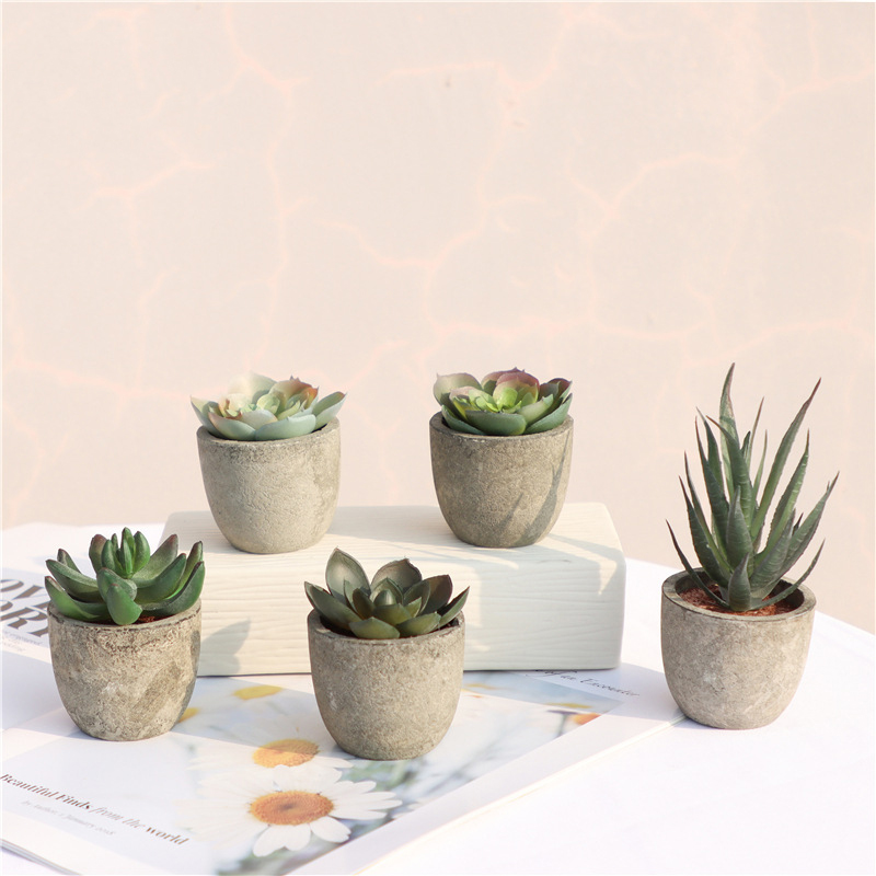 Mini Artificial Aloe Plants Bo - огляд і ціна Bonsai Garden Sushi