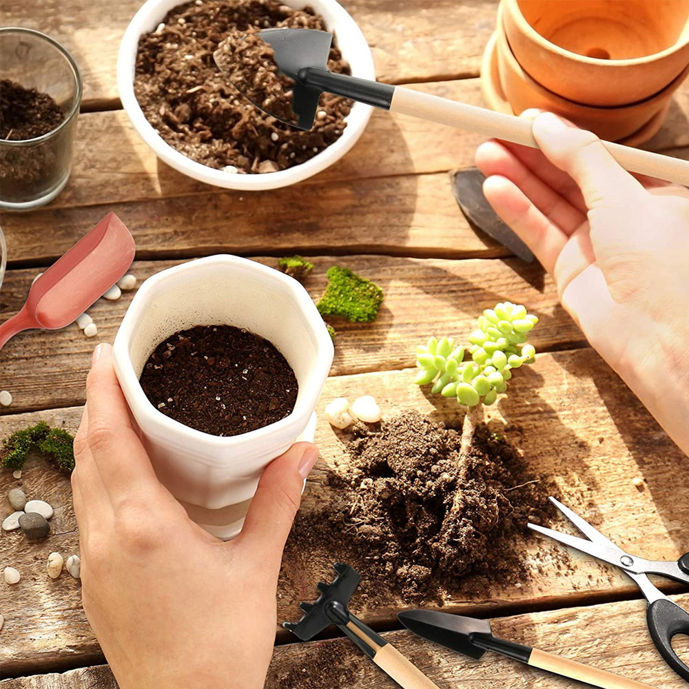 Succulent Plants Tools Mini Ga - огляд і ціна Bonsai Garden Miniature